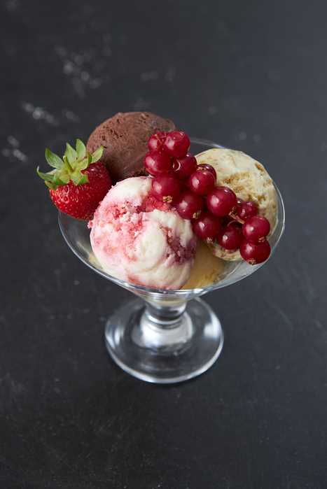 Dondurma Çeşitleri